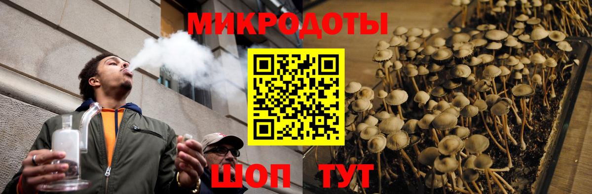Куйбышев  Галлюциногенные грибы Psilocybe  Вход с VPN 